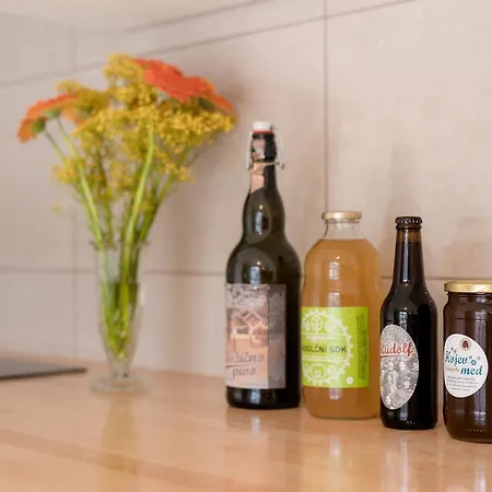 Vila Sejalec Casa vacanze *