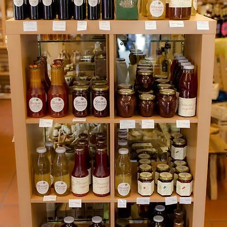 Vila Sejalec Casa vacanze *