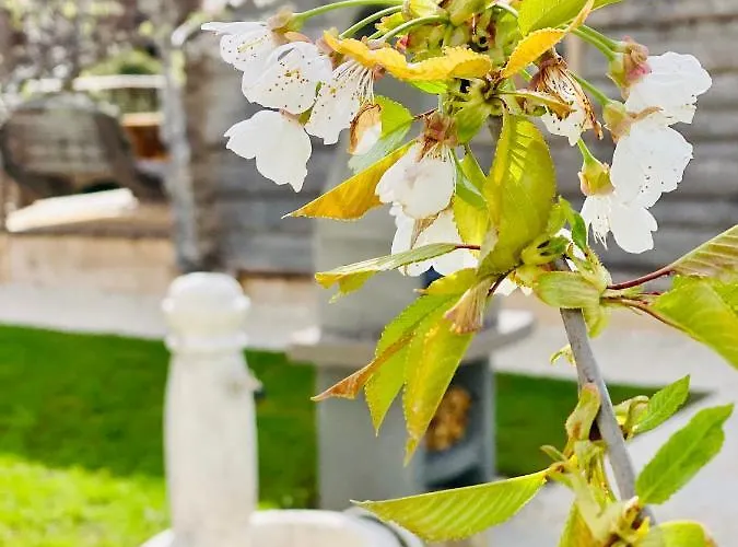 Nyaraló Vila Sejalec *