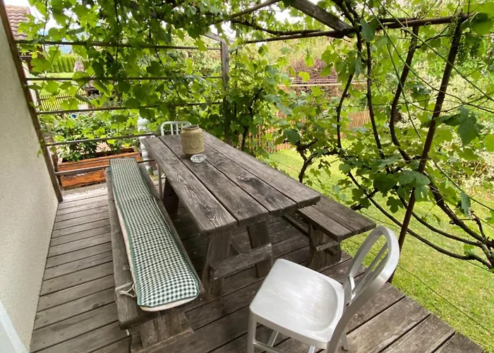 Počitniška hiša Vila Sejalec