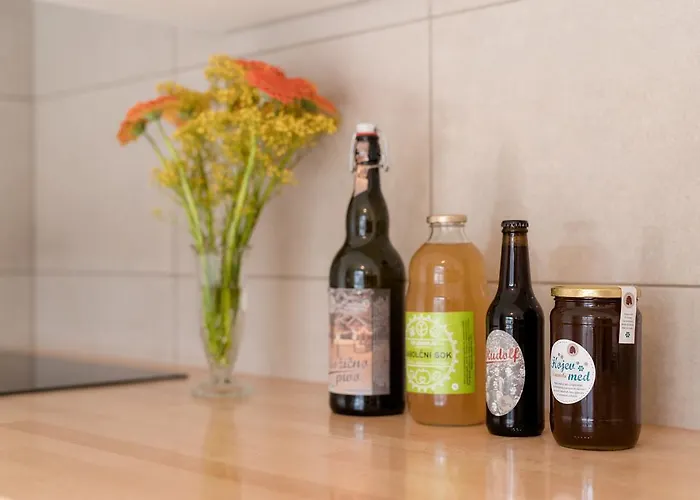 Vila Sejalec Počitniška hiša *